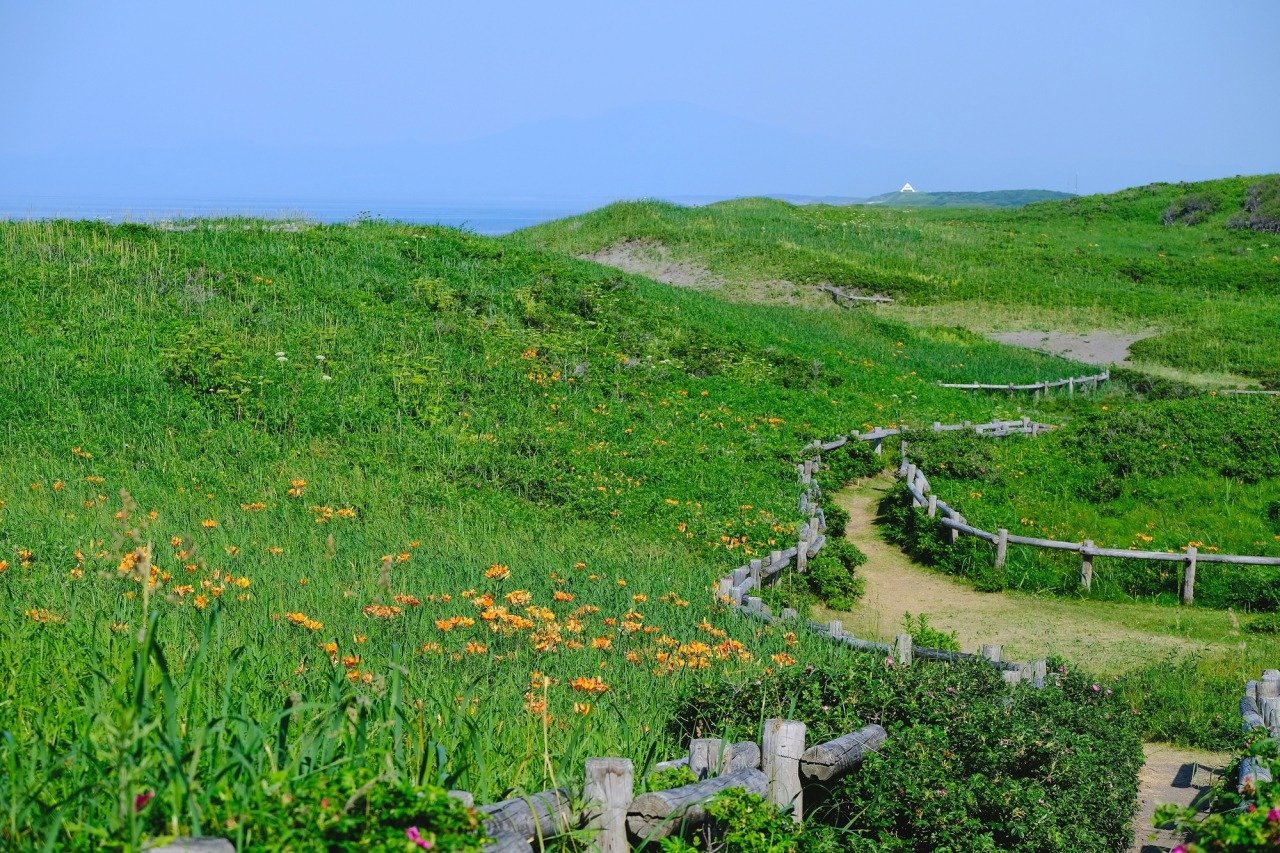 🌸 아바시리 국정공원 고시미즈 원생화원 (아바시리 코쿠테이코엔 코시미즈 겐세이카엔)